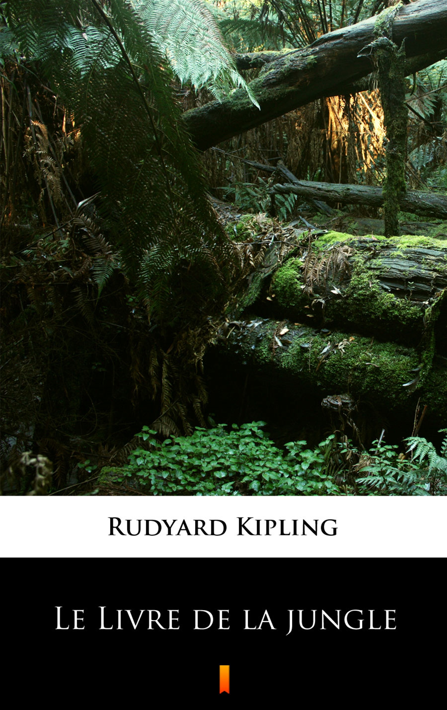 Tytuł: Le Livre de la jungle
Autor: Rudyard Kipling
Wydawnictwo: KtoCzyta.pl
Formaty: EPUB, MOBI