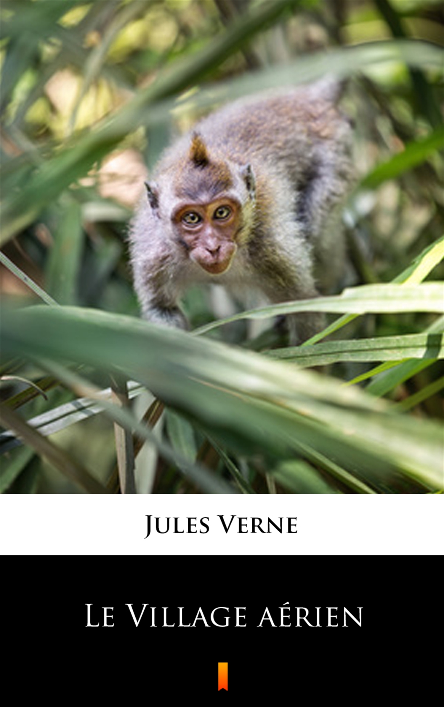 Tytuł: Le Village aérien
Autor: Jules Verne
Wydawnictwo: KtoCzyta.pl
Formaty: EPUB, MOBI