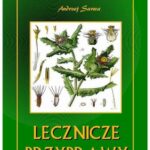Tytuł: Lecznicze przyprawy
Autor: Andrzej Sarwa
Wydawnictwo: Armoryka
Formaty: MOBI, EPUB