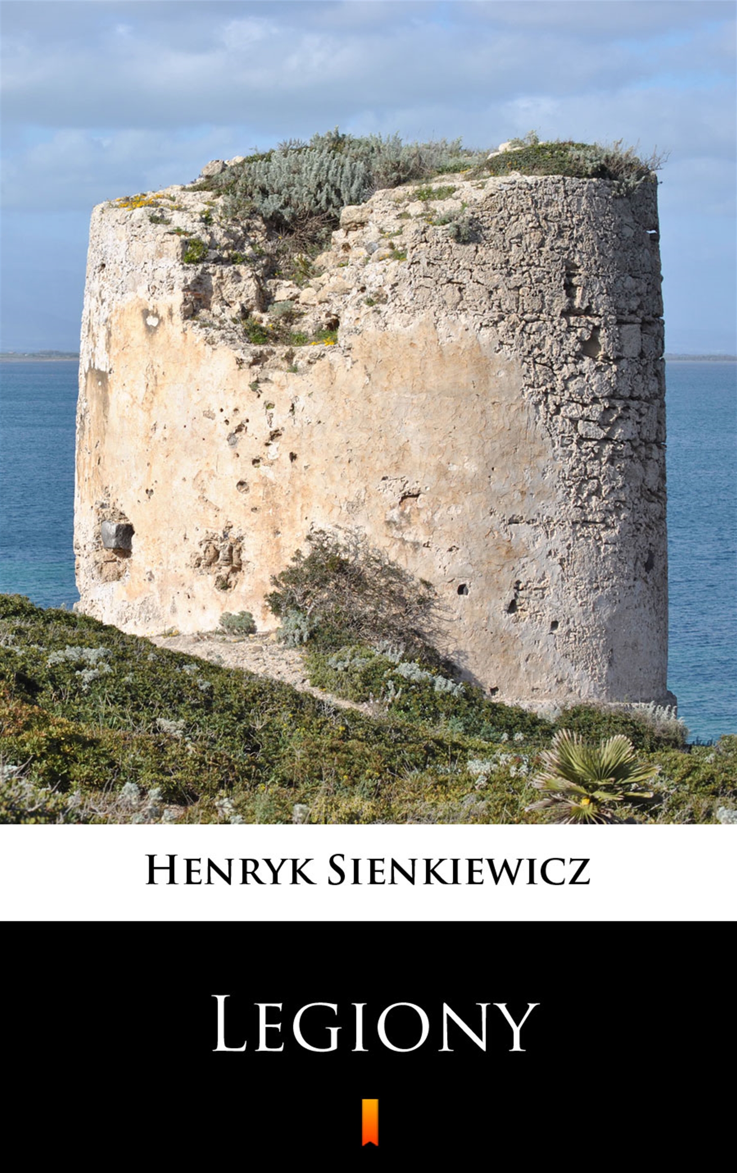Tytuł: Legiony
Autor: Henryk Sienkiewicz
Wydawnictwo: KtoCzyta.pl
Formaty: EPUB, MOBI