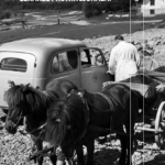 Tytuł: Lekarze prowincjonalni
Autor: Marcin Stasiak
Wydawnictwo: Wydawnictwo Czarne
Formaty: EPUB, MOBI