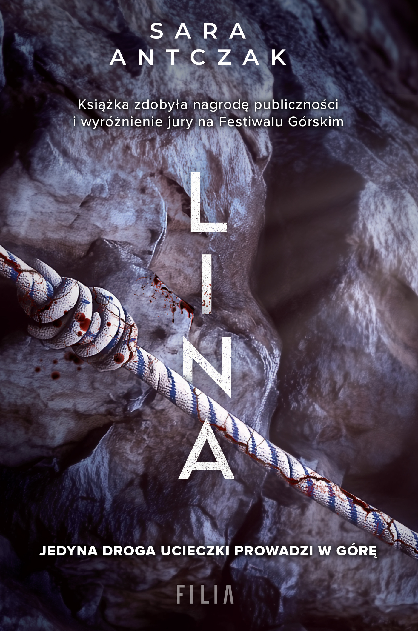 Tytuł: Lina
Autor: Sara Antczak
Wydawnictwo: FILIA
Formaty: EPUB, MOBI