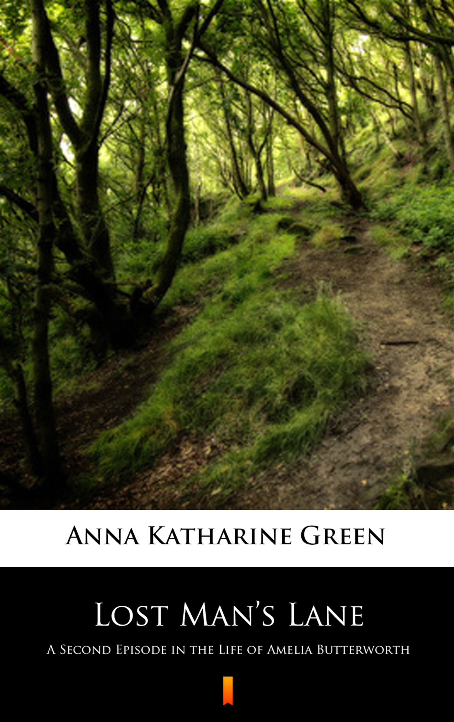 Tytuł: Lost Man’s Lane. A Second Episode in the Life of Amelia Butterworth
Autor: Anna Katharine Green
Wydawnictwo: KtoCzyta.pl
Formaty: EPUB, MOBI