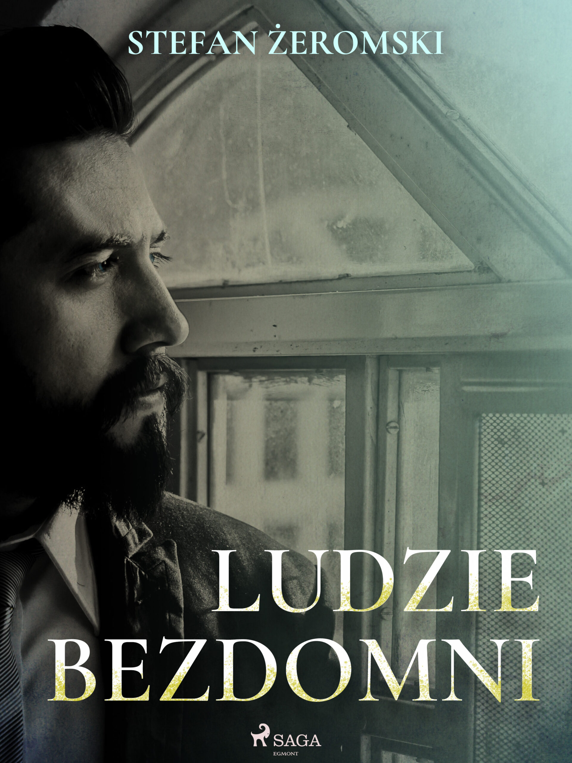 Tytuł: Ludzie bezdomni
Autor: Stefan Żeromski
Wydawnictwo: SAGA Egmont
Formaty: EPUB, MOBI