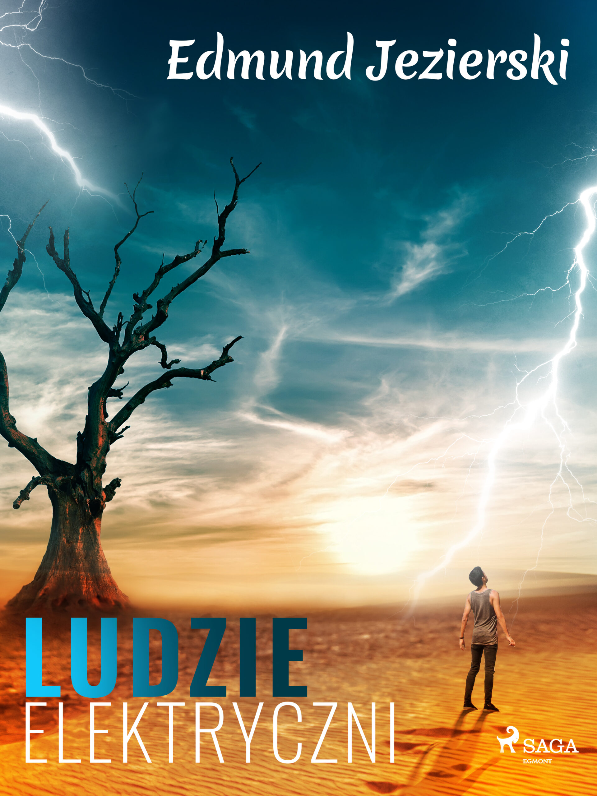 Tytuł: Ludzie elektryczni. Powieść fantastyczna
Autor: Edmund Jezierski
Wydawnictwo: SAGA Egmont
Formaty: EPUB, MOBI