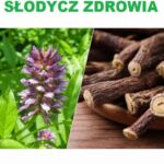 Tytuł: Lukrecja słodycz zdrowia
Autor: Aleksander Wójcik
Wydawnictwo: Eco Windsor
Formaty: PDF
