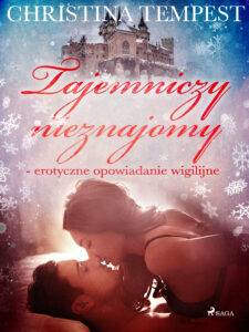 LUST. Tajemniczy nieznajomy - erotyczne opowiadanie wigilijne — okładka e-booka