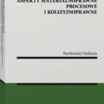 Macierzyństwo. Aspekty materialnoprawne, procesowe i kolizyjnoprawne — okładka e-booka