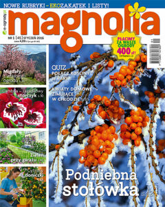 Magnolia 1/2016. Ogród. Balkon. Dom — okładka e-booka
