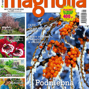 Tytuł: Magnolia 1/2016. Ogród. Balkon. Dom
Autor: 
Wydawnictwo: Wydawnictwo Agora
Formaty: PDF