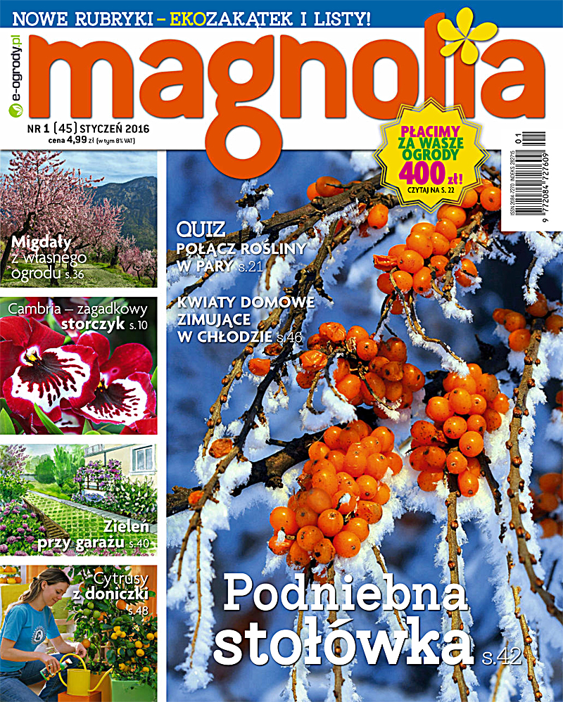 Magnolia 1/2016. Ogród. Balkon. Dom — okładka e-booka