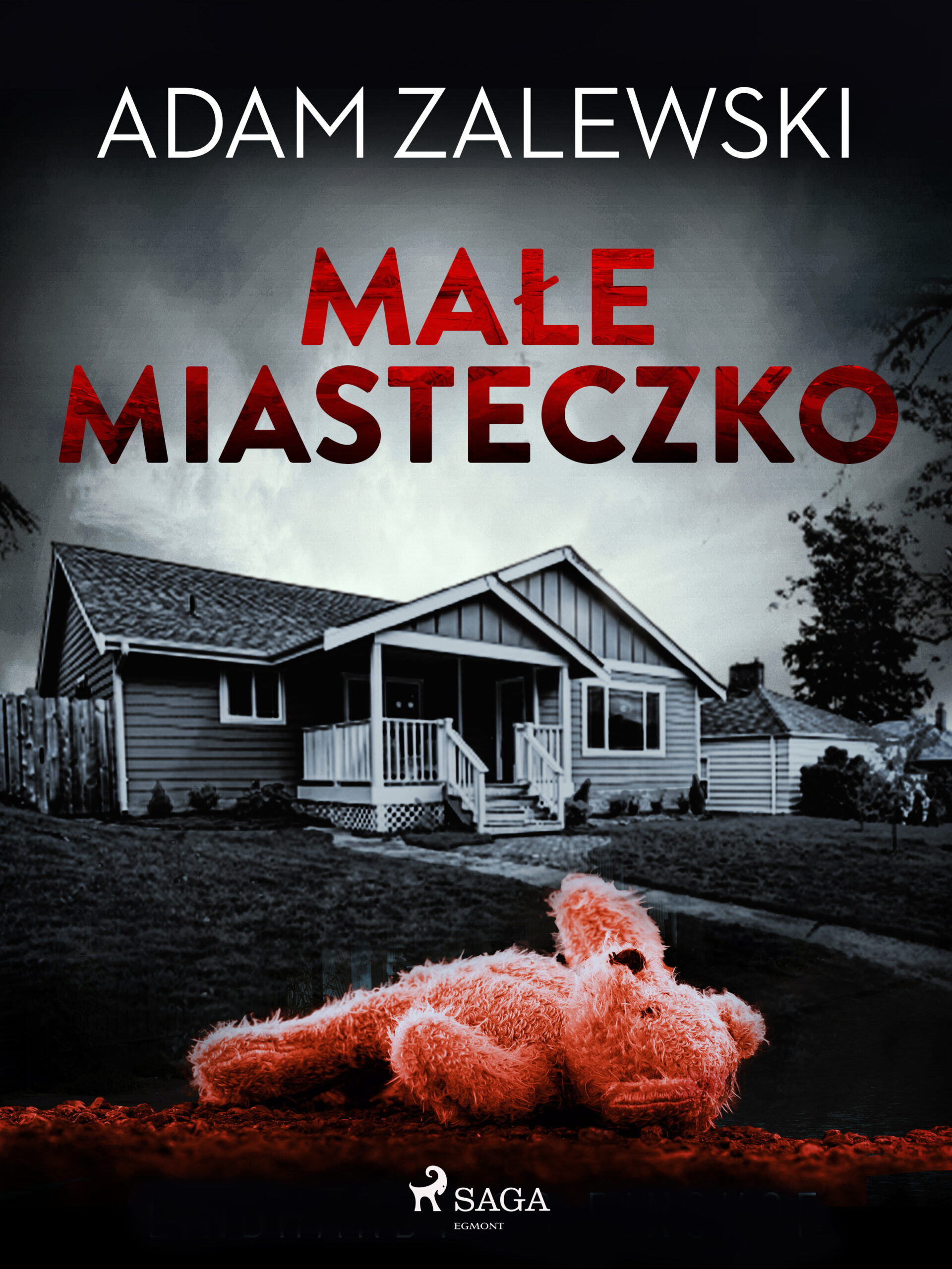 Tytuł: Małe miasteczko
Autor: Adam Zalewski
Wydawnictwo: SAGA Egmont
Formaty: EPUB, MOBI
