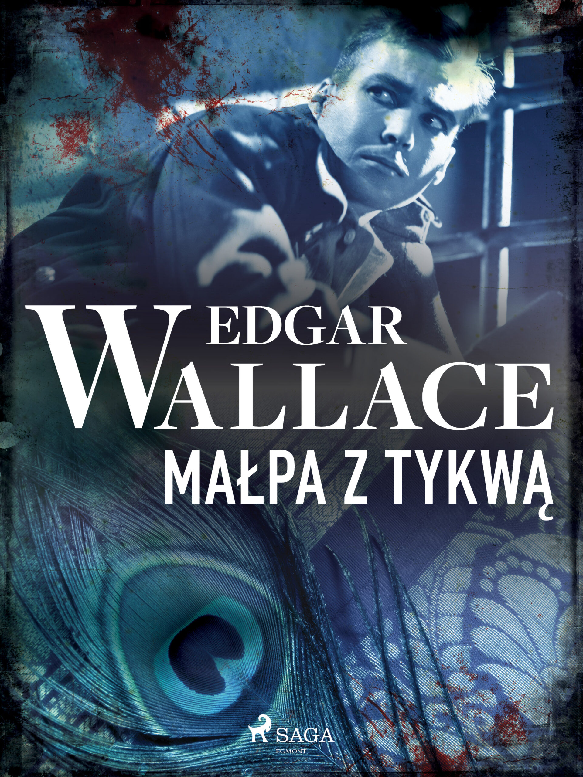 Małpa z tykwą — okładka e-booka