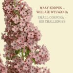 Mały korpus - wielkie wyzwania / Small corpora - big challenges — okładka e-booka