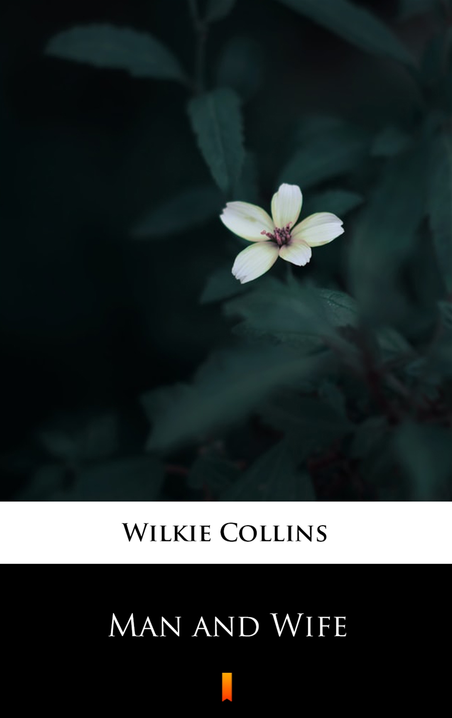 Tytuł: Man and Wife
Autor: Wilkie Collins
Wydawnictwo: KtoCzyta.pl
Formaty: EPUB, MOBI