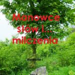 Manowce słów i... milczenia — okładka e-booka