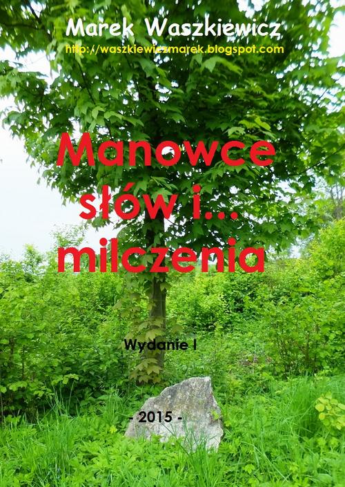 Manowce słów i... milczenia — okładka e-booka