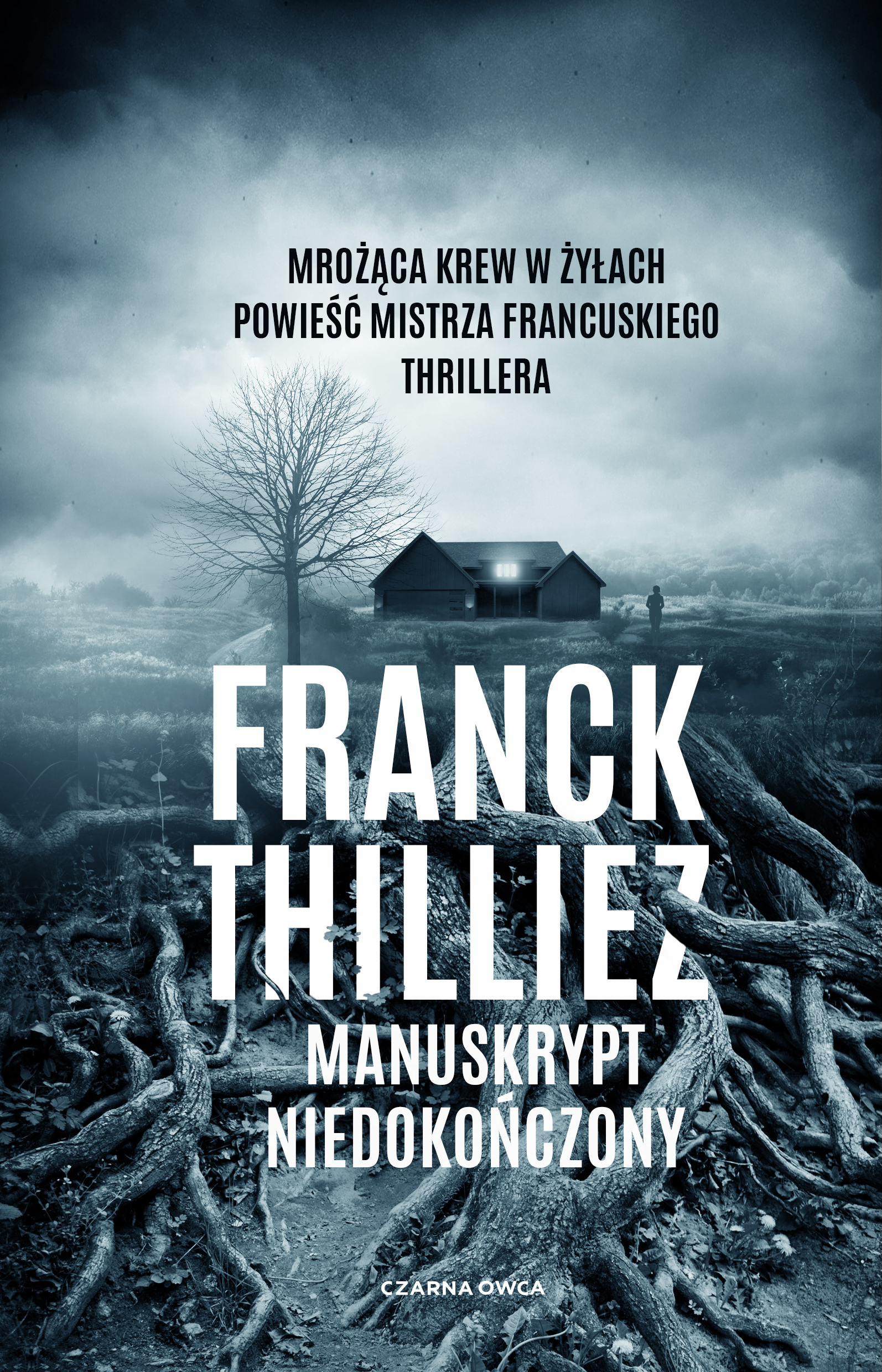 Tytuł: Manuskrypt niedokończony
Autor: Franck Thilliez
Wydawnictwo: Wydawnictwo Czarna Owca
Formaty: EPUB, MOBI