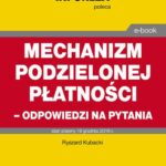 Mechanizm podzielonej płatności – odpowiedzi na pytania — okładka e-booka