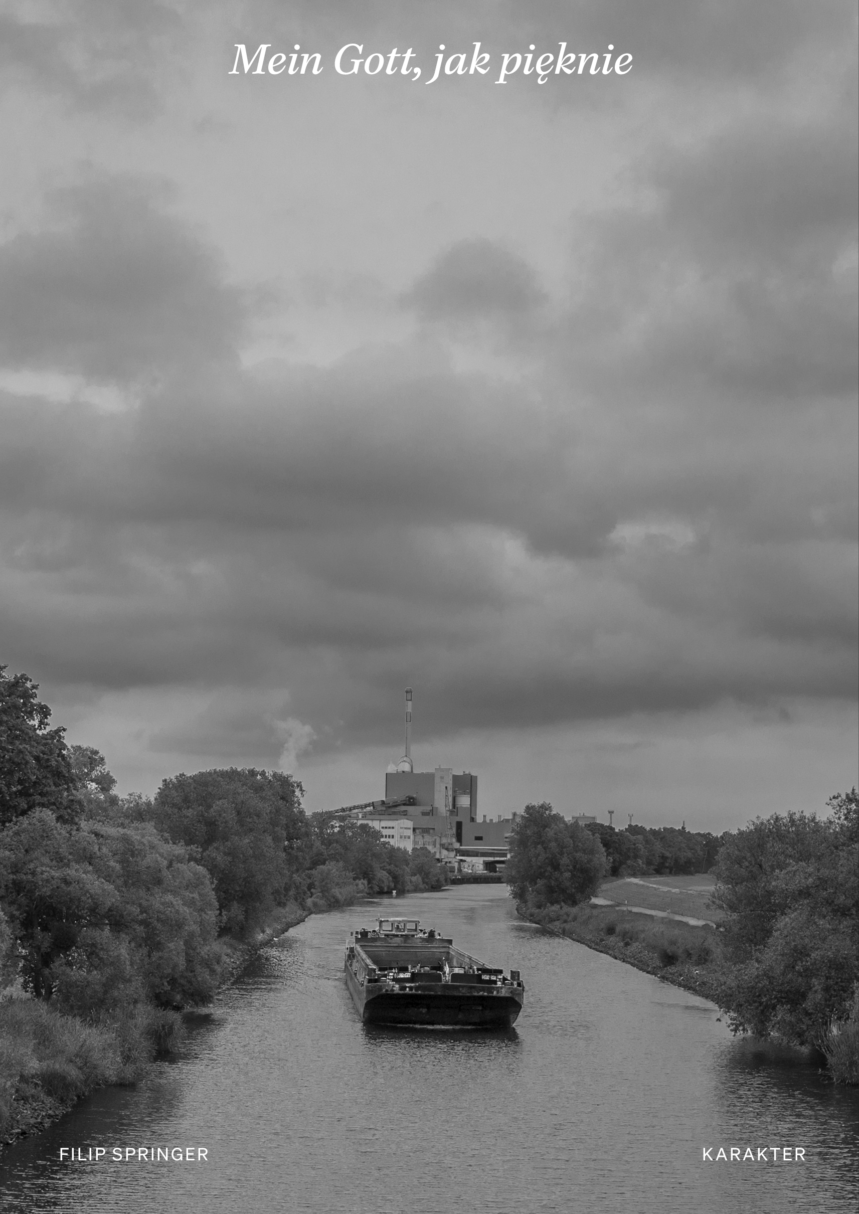 Tytuł: Mein Gott, jak pięknie
Autor: Filip Springer
Wydawnictwo: Karakter
Formaty: EPUB, MOBI