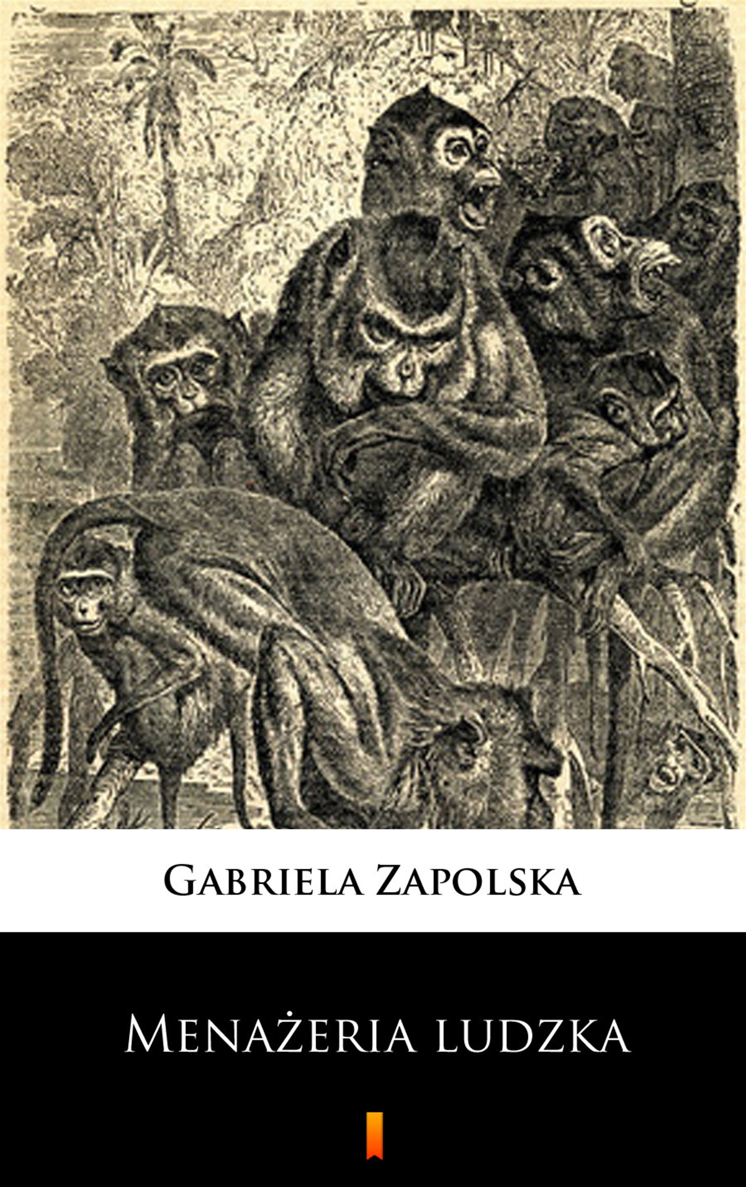 Tytuł: Menażeria ludzka
Autor: Gabriela Zapolska
Wydawnictwo: KtoCzyta.pl
Formaty: EPUB, MOBI