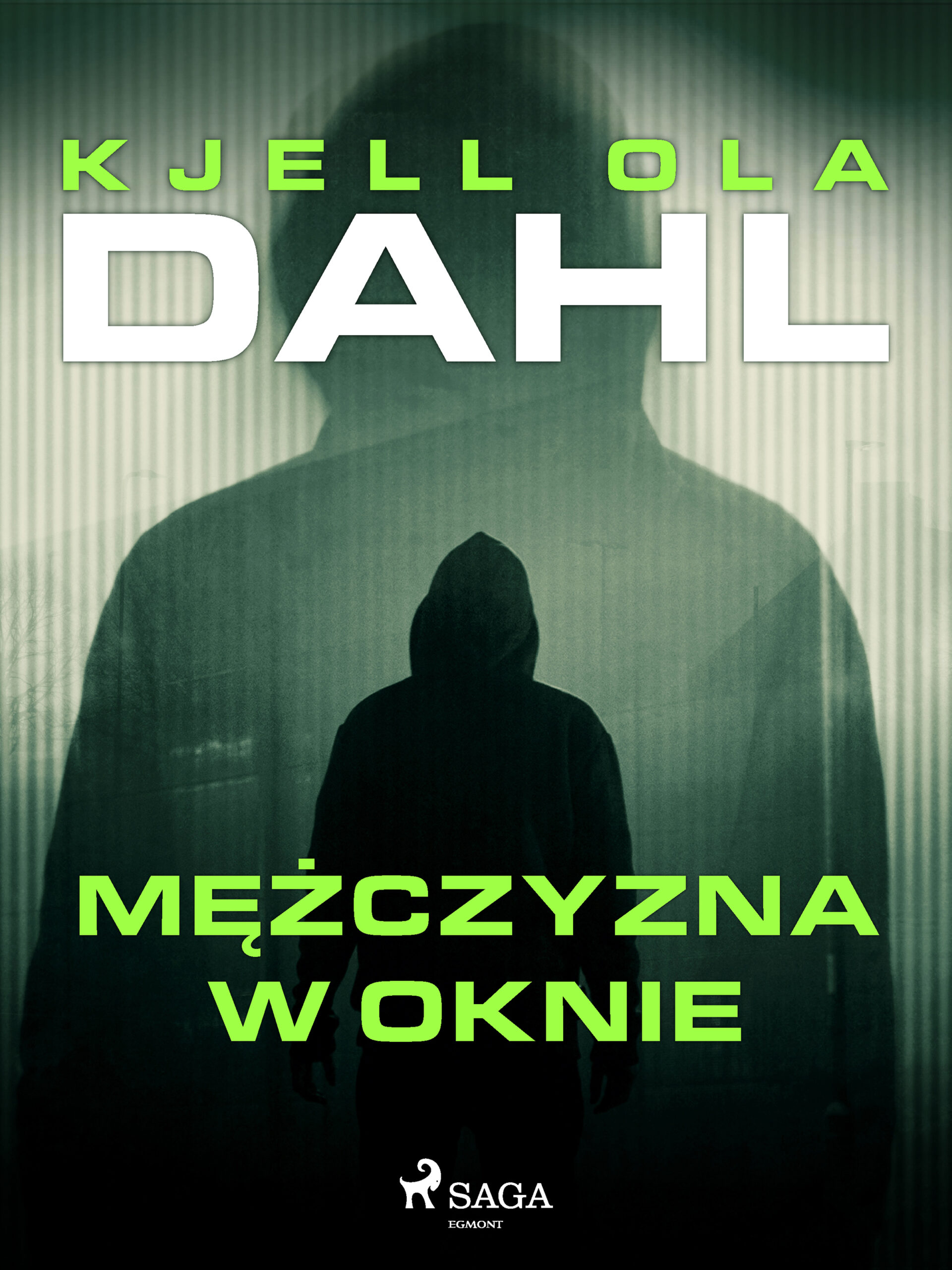 Mężczyzna w oknie — okładka e-booka