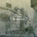 Tytuł: Międzyrzecz
Autor: Piotr Ibrahim Kalwas
Wydawnictwo: JanKa
Formaty: EPUB, MOBI