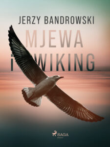 Mjewa i Wiking — okładka e-booka