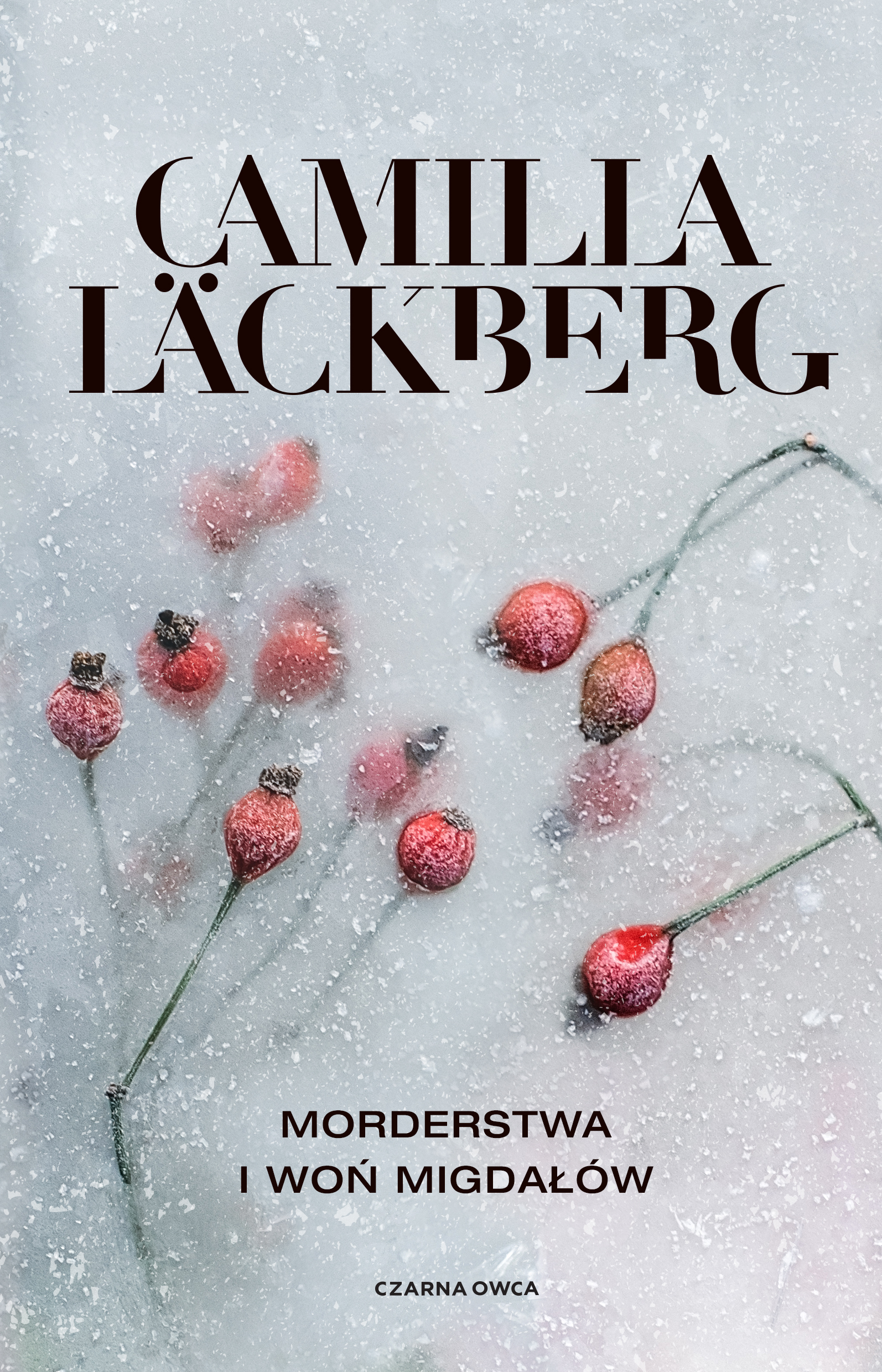 Tytuł: Morderstwa i woń migdałów
Autor: Camilla Läckberg
Wydawnictwo: Wydawnictwo Czarna Owca
Formaty: EPUB, MOBI