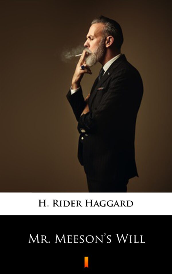 Mr. Meeson’s Will — okładka e-booka
