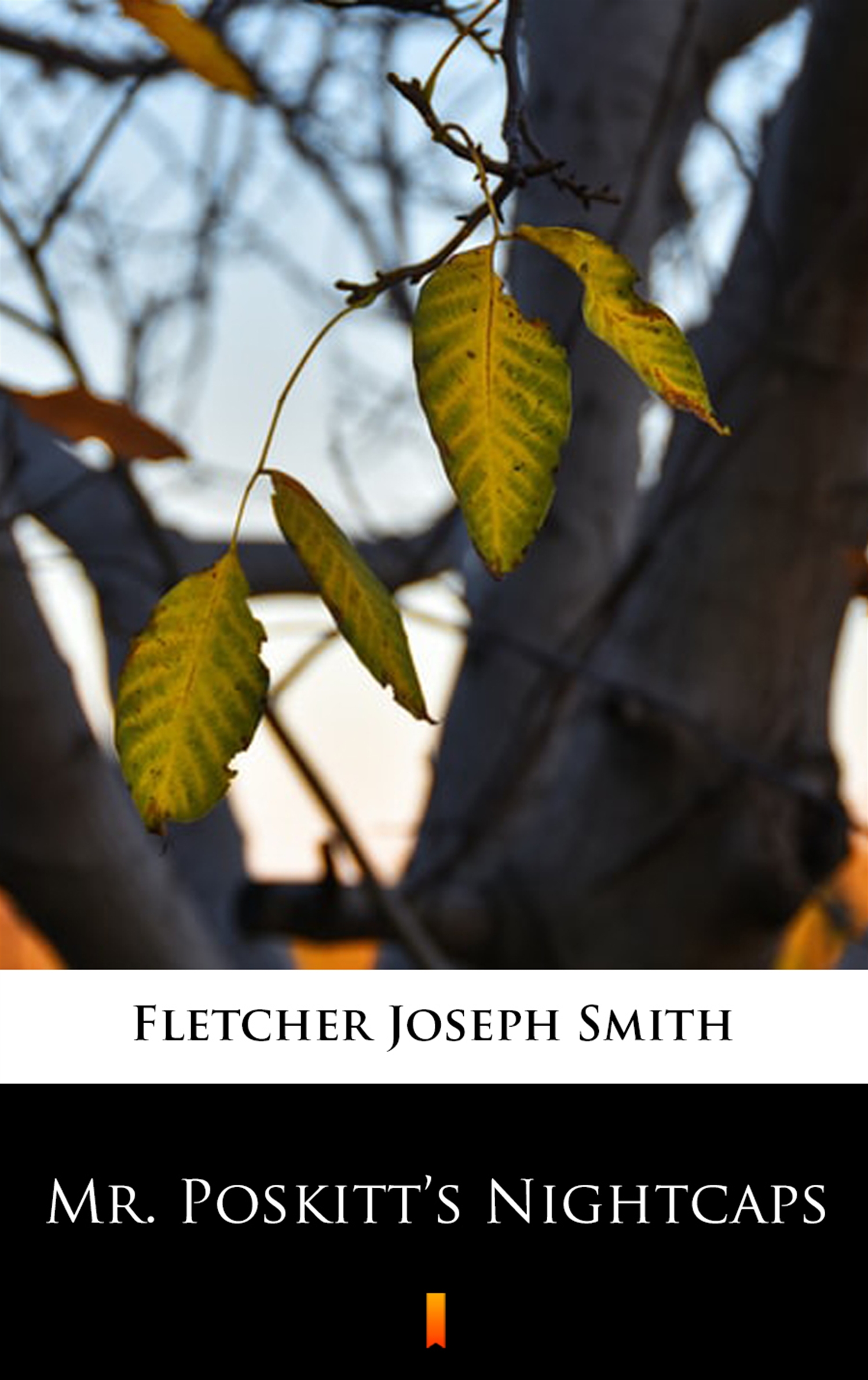 Tytuł: Mr. Poskitt’s Nightcaps
Autor: Joseph Smith Fletcher
Wydawnictwo: KtoCzyta.pl
Formaty: EPUB, MOBI
