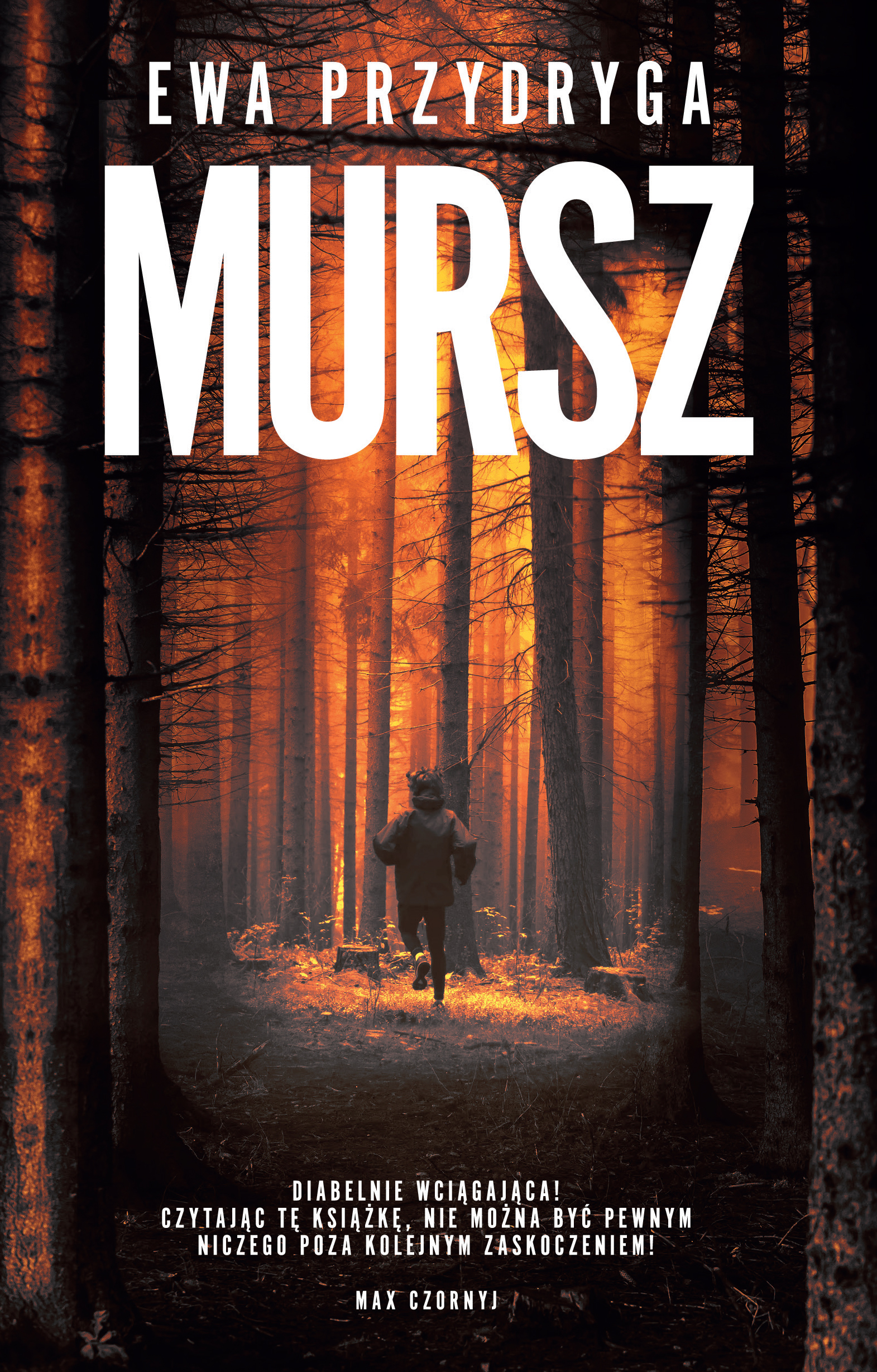 Tytuł: Mursz
Autor: Ewa Przydryga
Wydawnictwo: Muza
Formaty: EPUB, MOBI