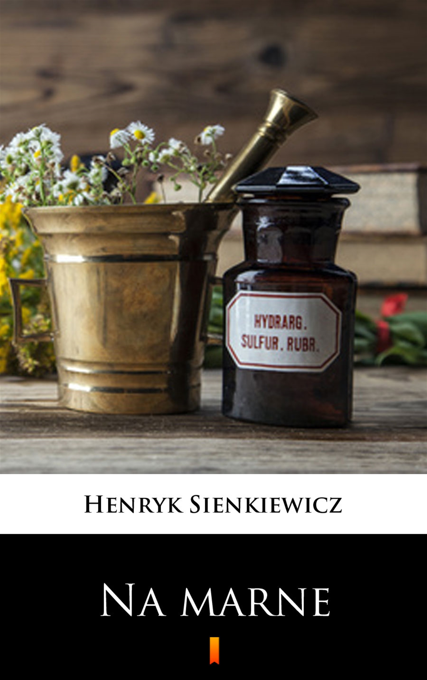 Tytuł: Na marne
Autor: Henryk Sienkiewicz
Wydawnictwo: KtoCzyta.pl
Formaty: EPUB, MOBI