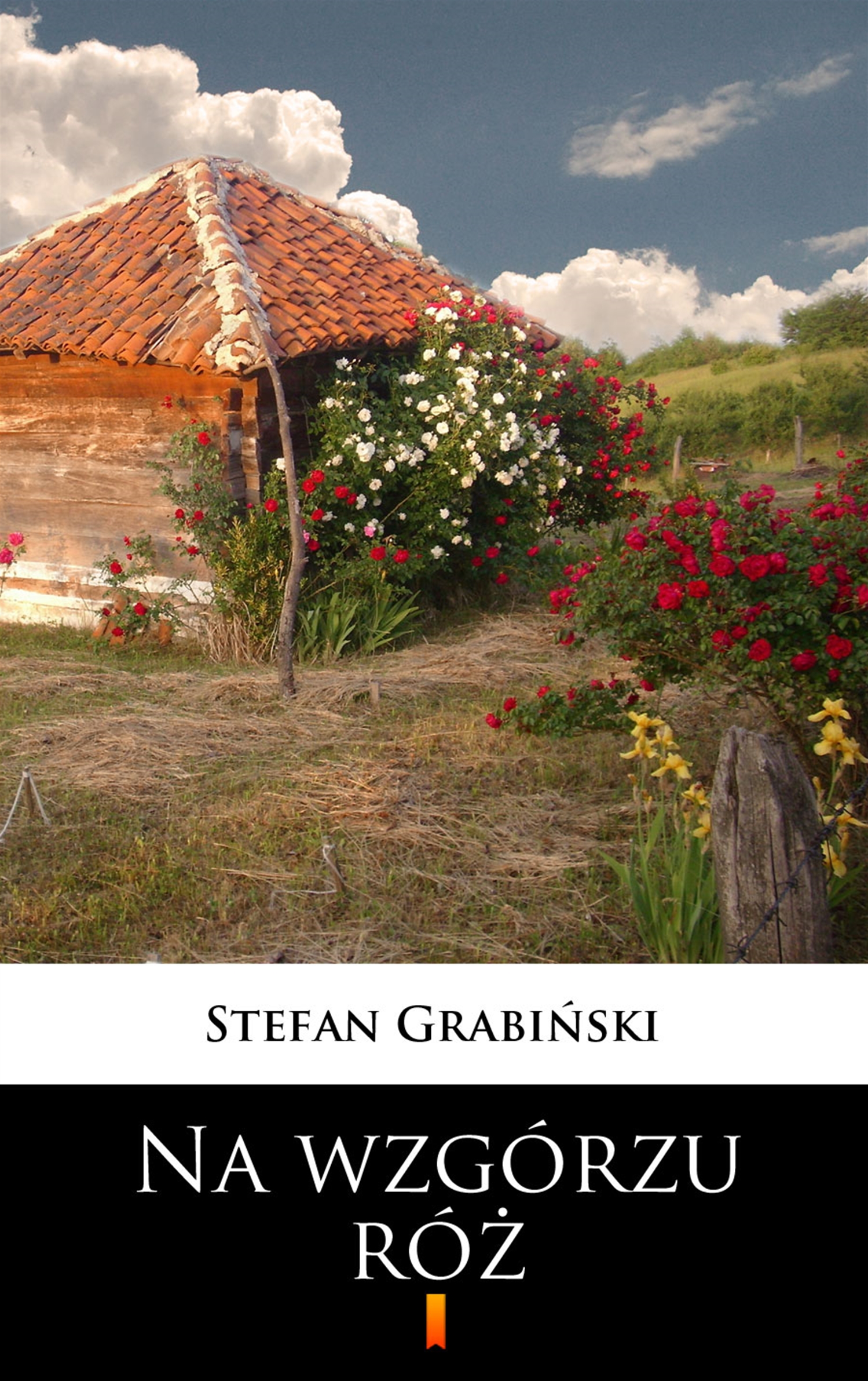 Tytuł: Na wzgórzu róż
Autor: Stefan Grabiński
Wydawnictwo: KtoCzyta.pl
Formaty: EPUB, MOBI