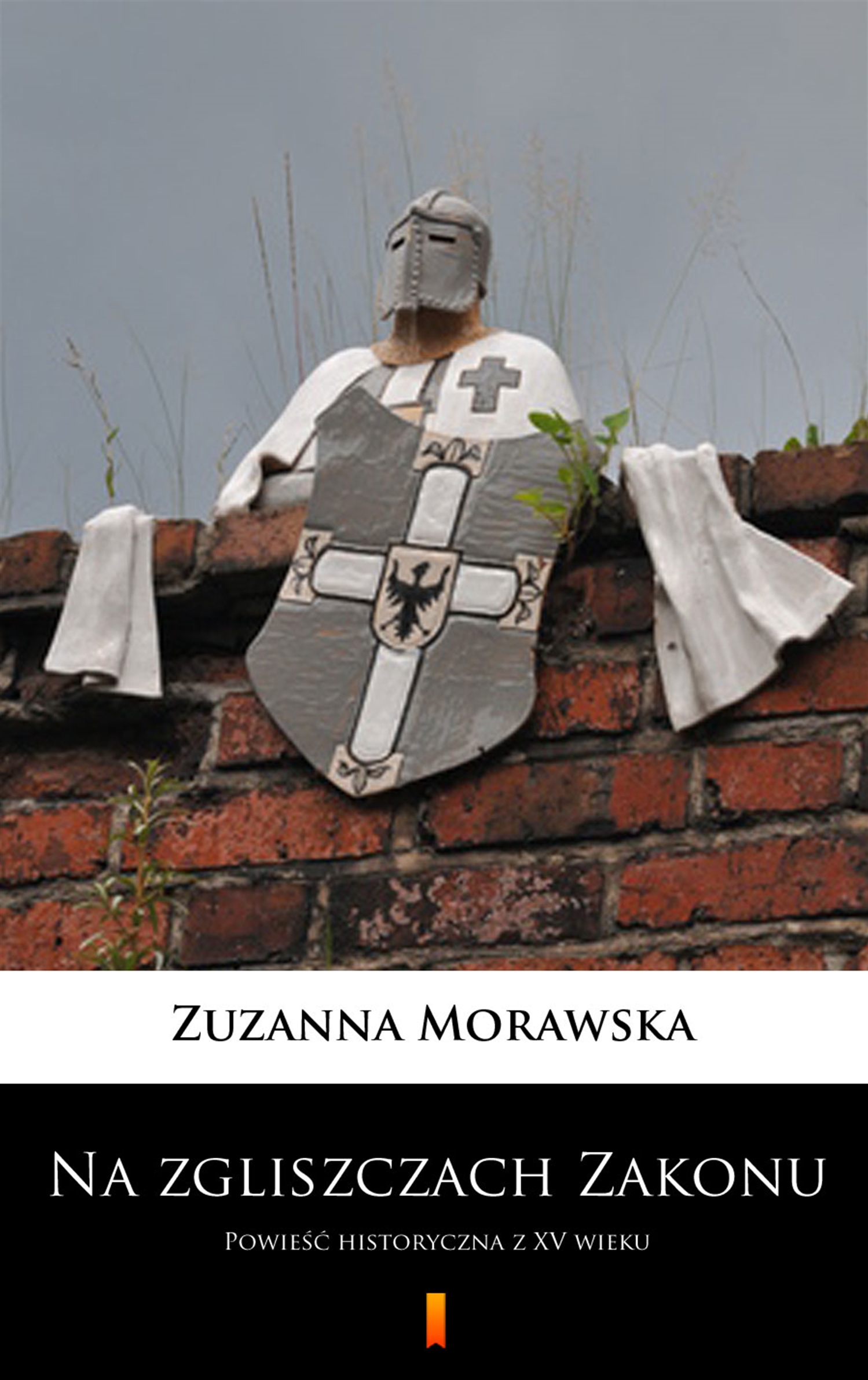 Na zgliszczach Zakonu. Powieść historyczna z XV wieku — okładka