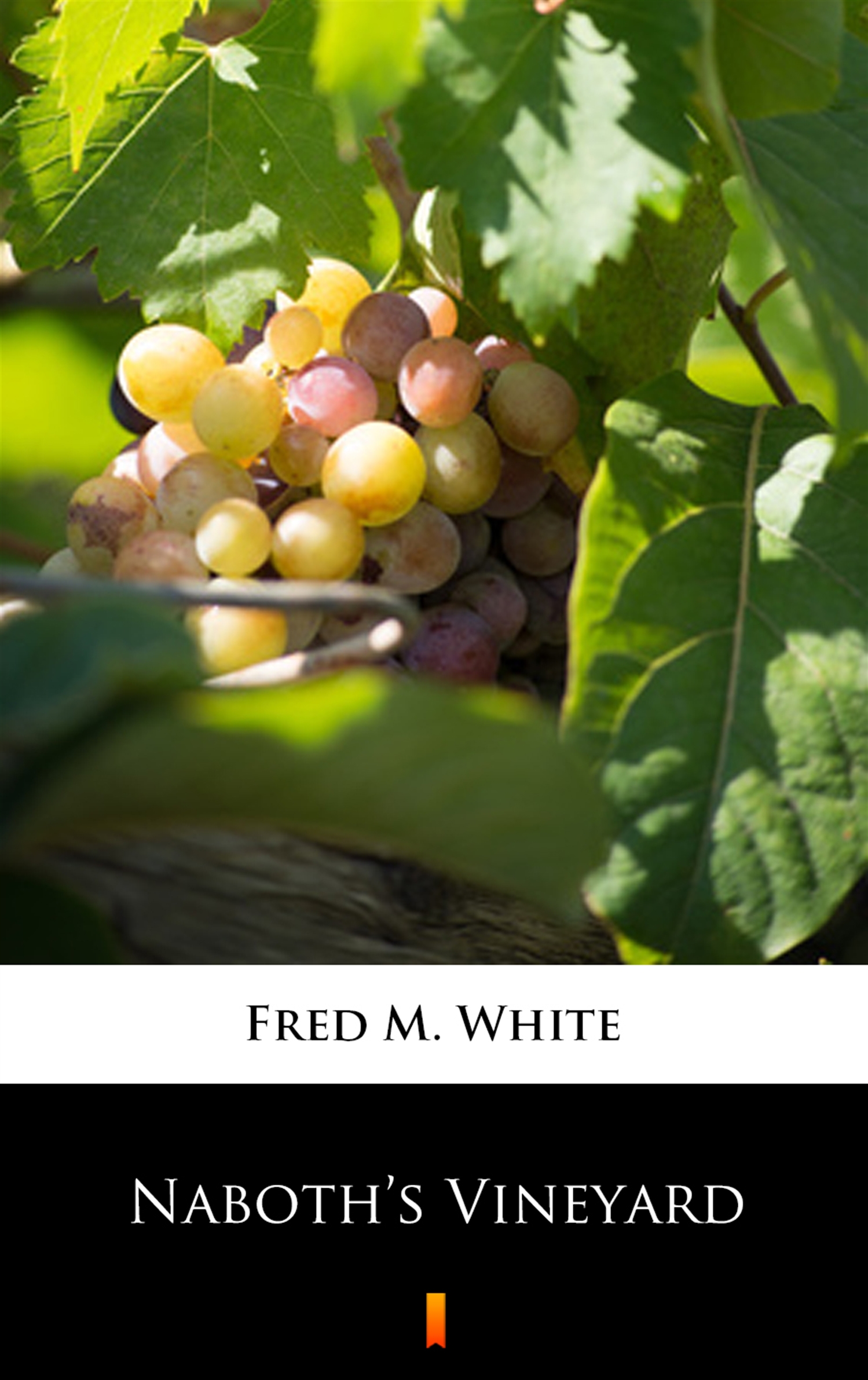 Tytuł: Naboth’s Vineyard
Autor: Fred M. White
Wydawnictwo: KtoCzyta.pl
Formaty: EPUB, MOBI