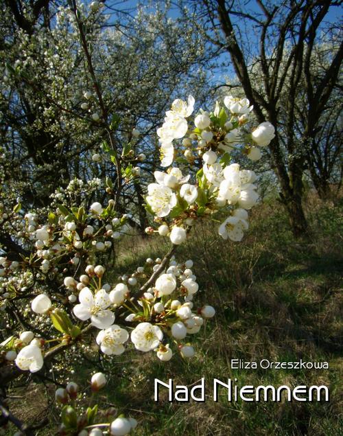 Tytuł: Nad Niemnem
Autor: Eliza Orzeszkowa
Wydawnictwo: Armoryka
Formaty: MOBI, EPUB