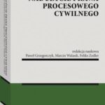 Nadużycie prawa procesowego cywilnego — okładka e-booka