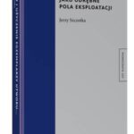 Najem i użyczenie egzemplarzy utworu jako odrębne pola eksploatacji — okładka e-booka