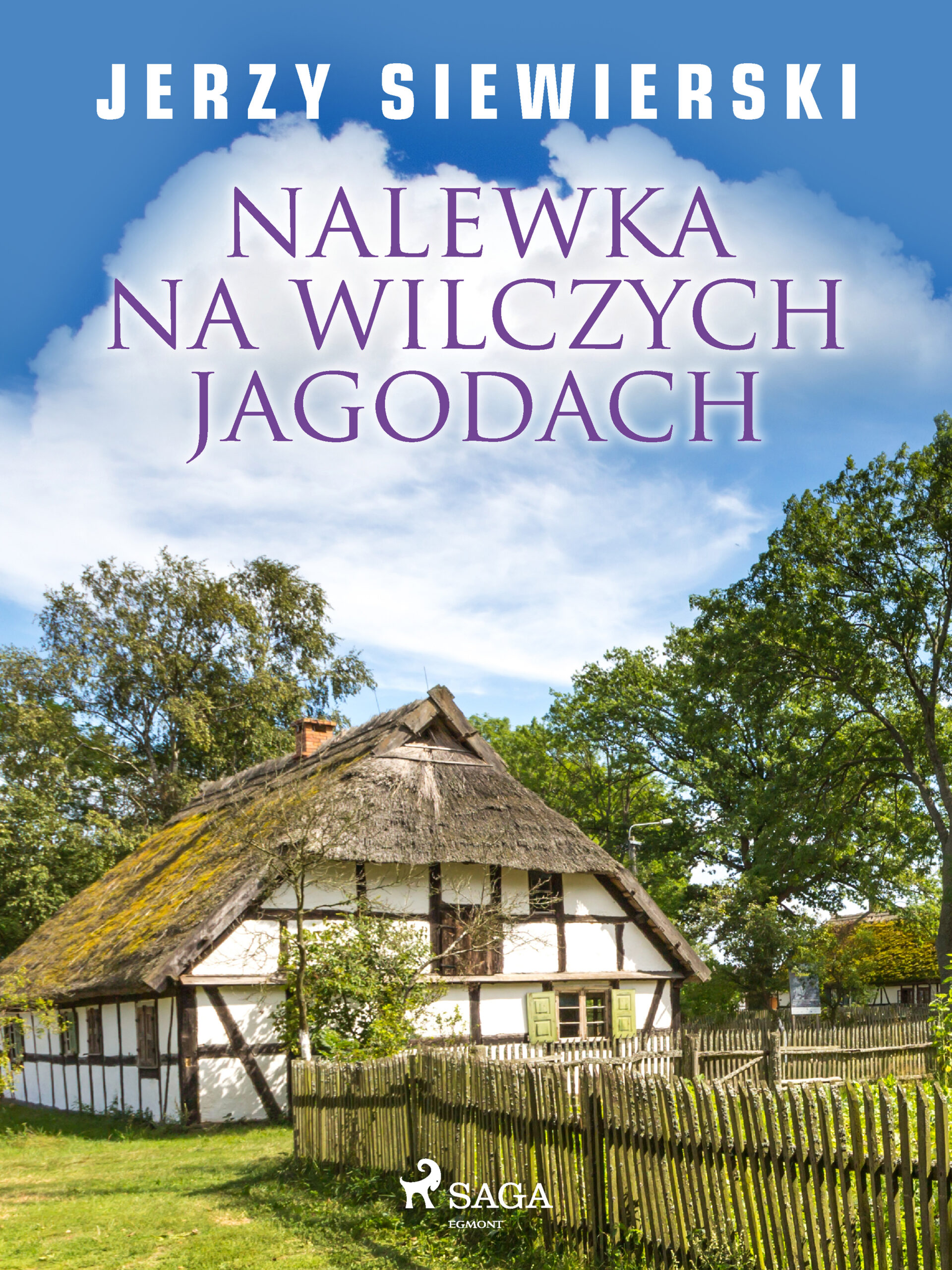 Nalewka na wilczych jagodach — okładka e-booka