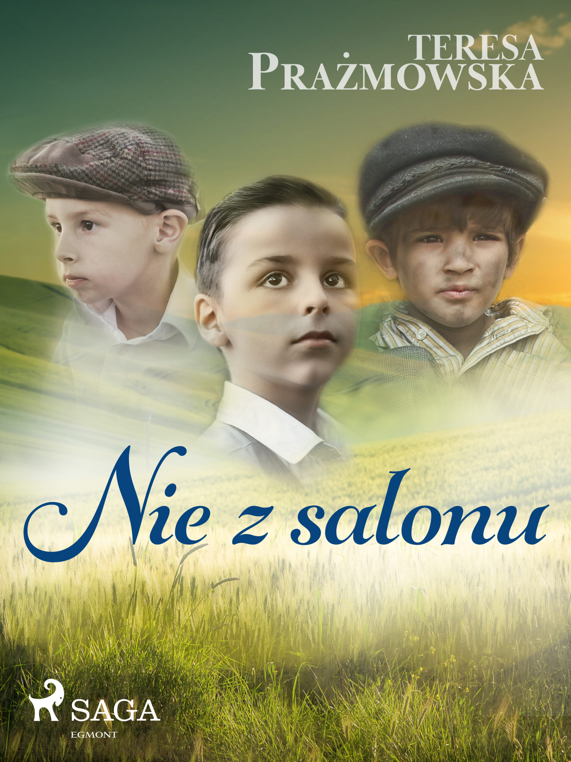 Tytuł: Nie z salonu
Autor: Teresa Prażmowska
Wydawnictwo: SAGA Egmont
Formaty: EPUB, MOBI