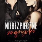 Niebezpieczne zagrywki — okładka e-booka