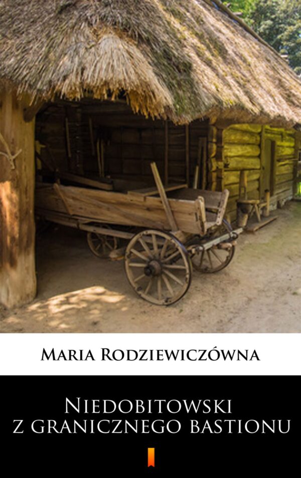 Niedobitowski z granicznego bastionu — okładka e-booka