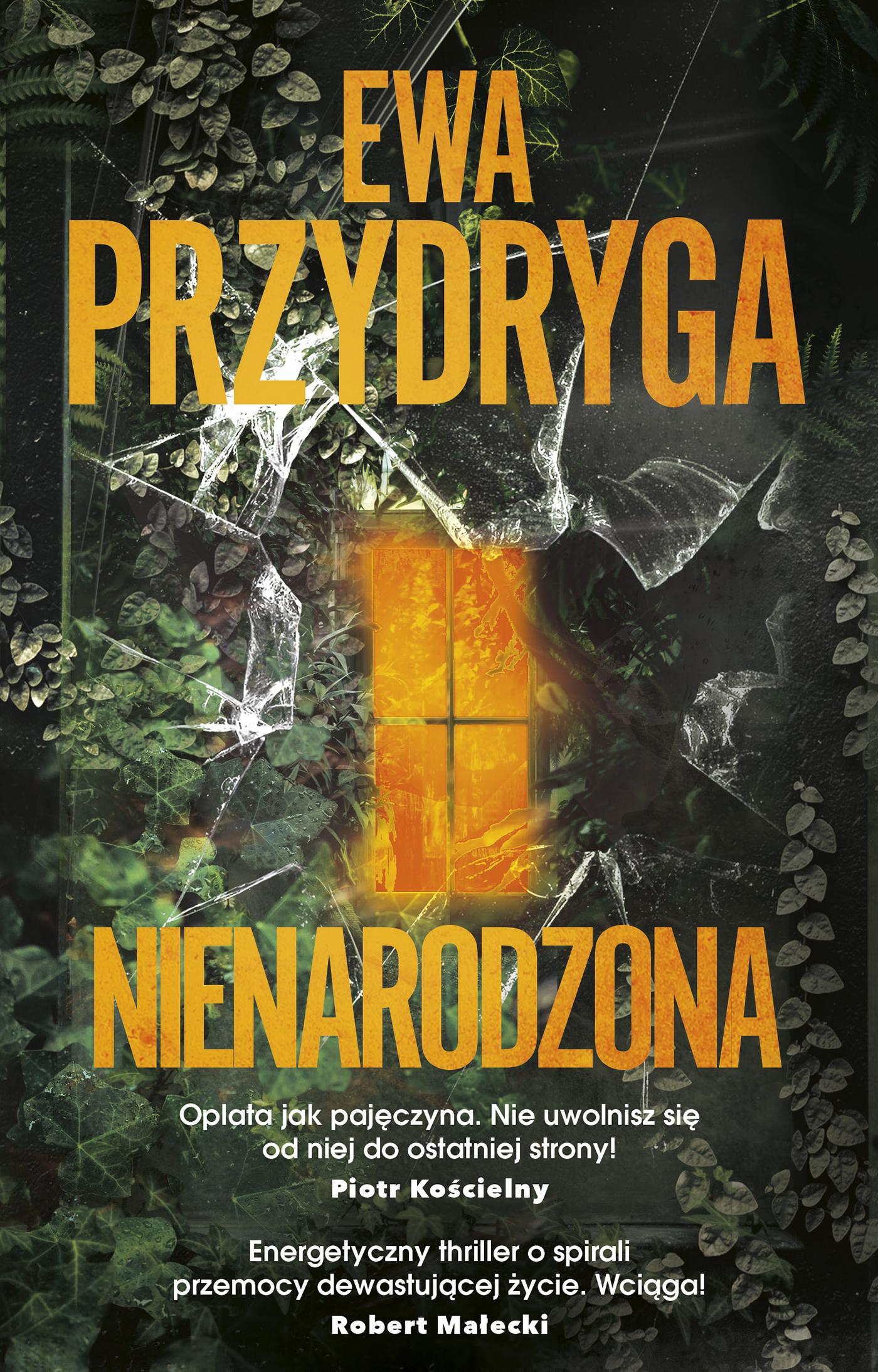 Tytuł: Nienarodzona
Autor: Ewa Przydryga
Wydawnictwo: Muza
Formaty: EPUB, MOBI
