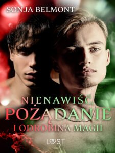 Nienawiść, pożądanie i odrobina magii: 3 opowiadania erotyczne inspirowane dynamiką Harry Potter/Draco Malfoy — okładka e-booka