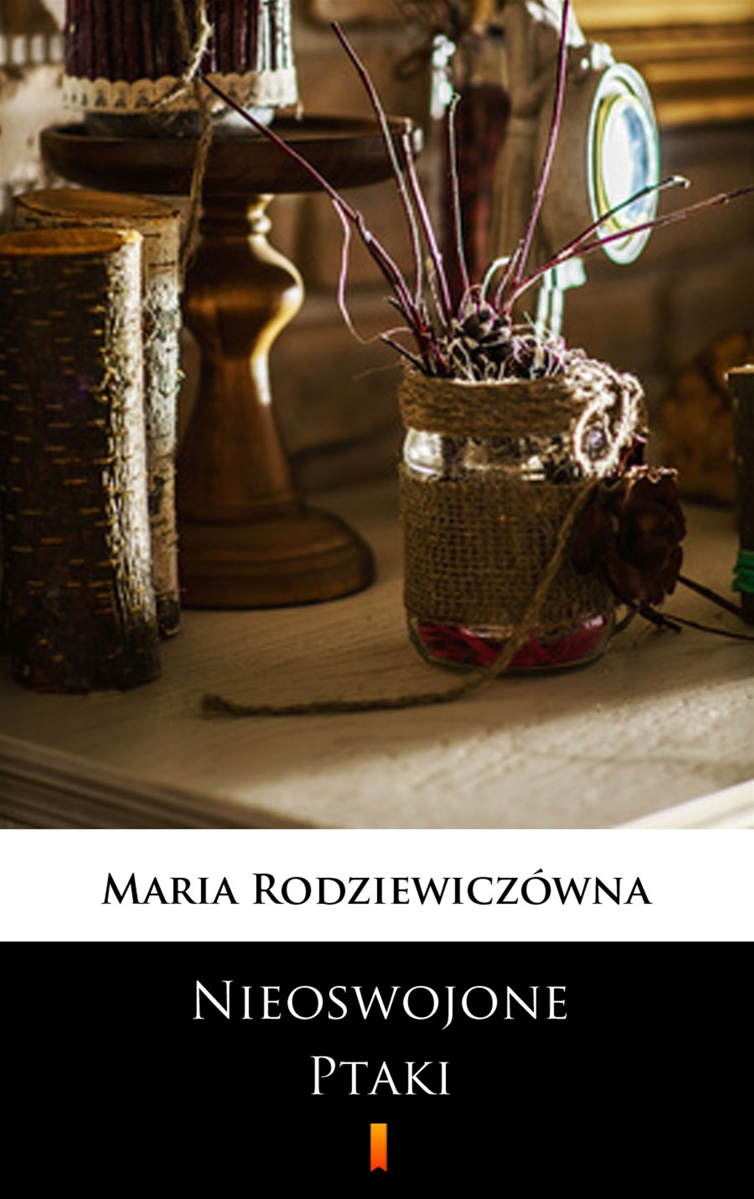 Tytuł: Nieoswojone ptaki
Autor: Maria Rodziewiczówna
Wydawnictwo: KtoCzyta.pl
Formaty: EPUB, MOBI
