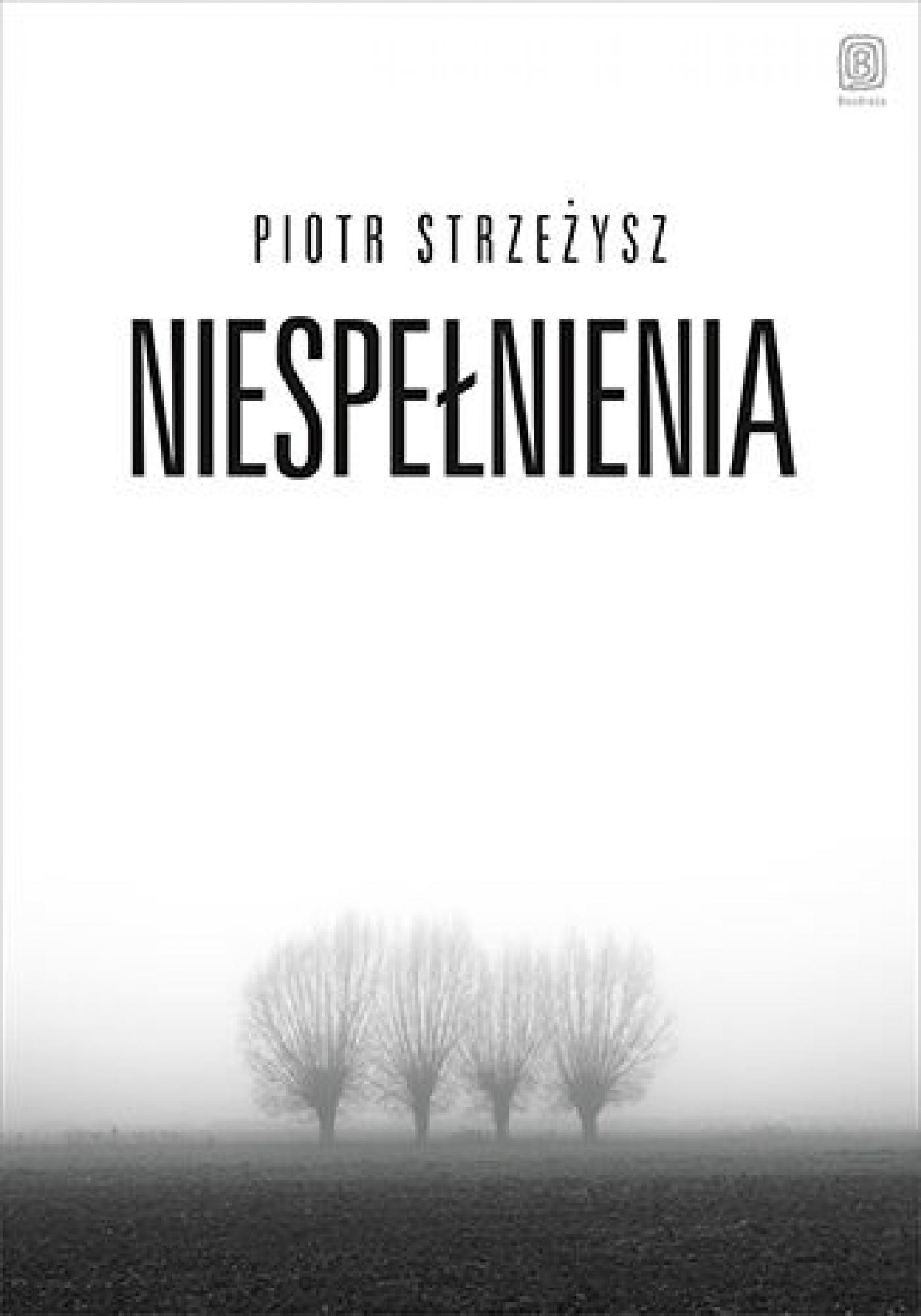 Niespełnienia — okładka e-booka