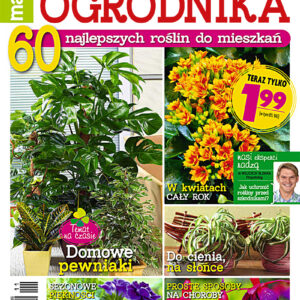 Tytuł: Niezbędnik Ogrodnika 5/2015. Magazyn Ekspertów
Autor: 
Wydawnictwo: Wydawnictwo Agora
Formaty: PDF