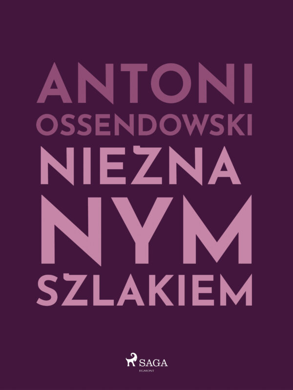 Nieznanym szlakiem — okładka e-booka