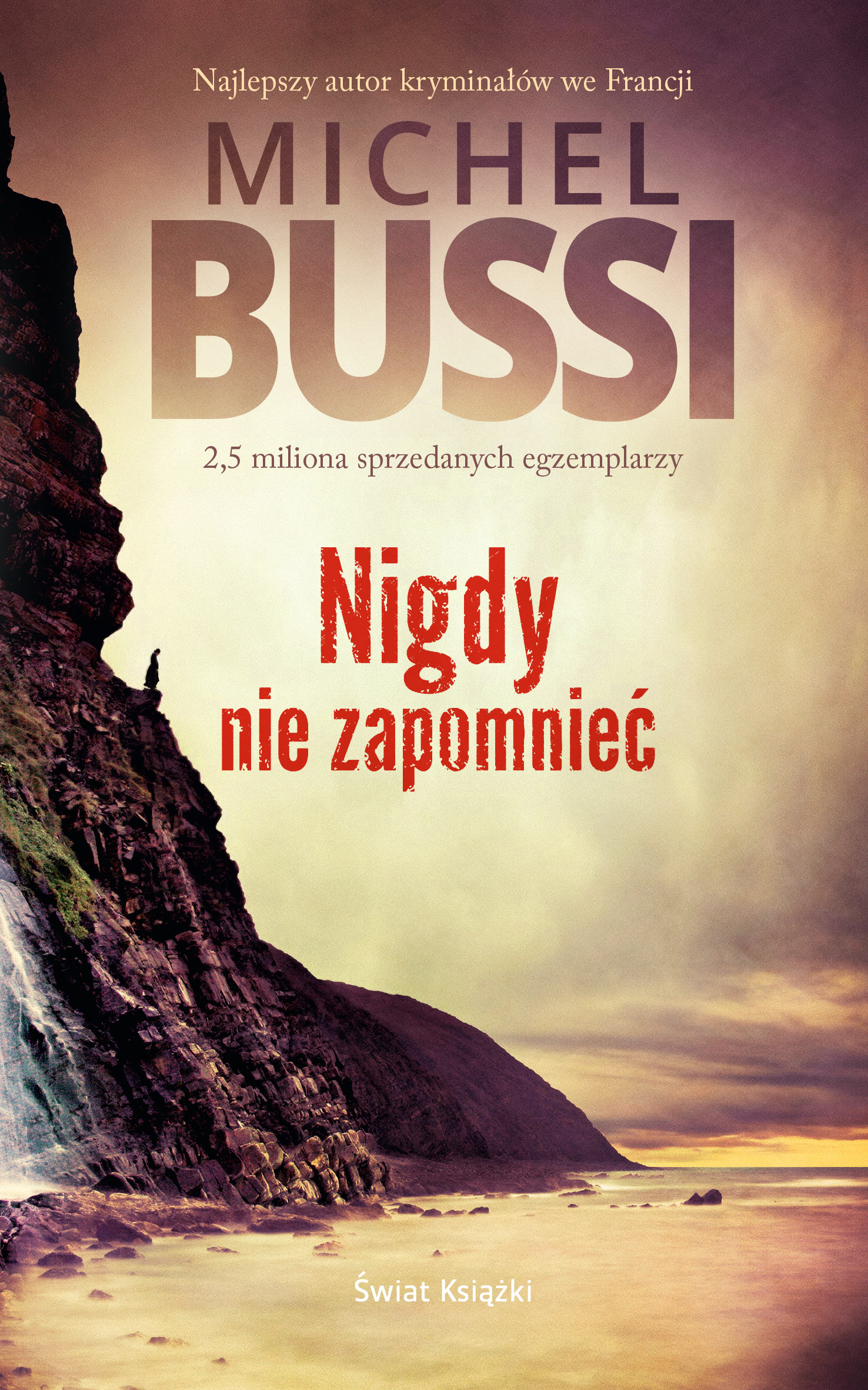 Nigdy nie zapomnieć — okładka e-booka